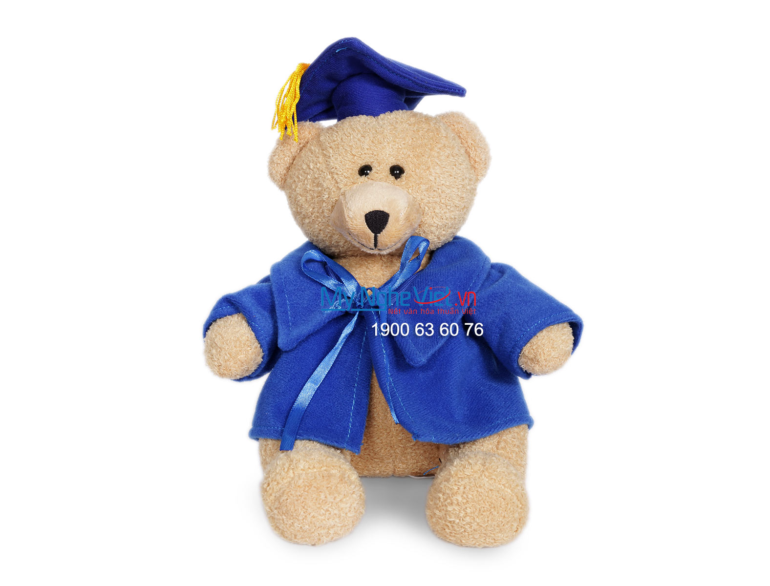 Gấu tốt nghiệp QTN11