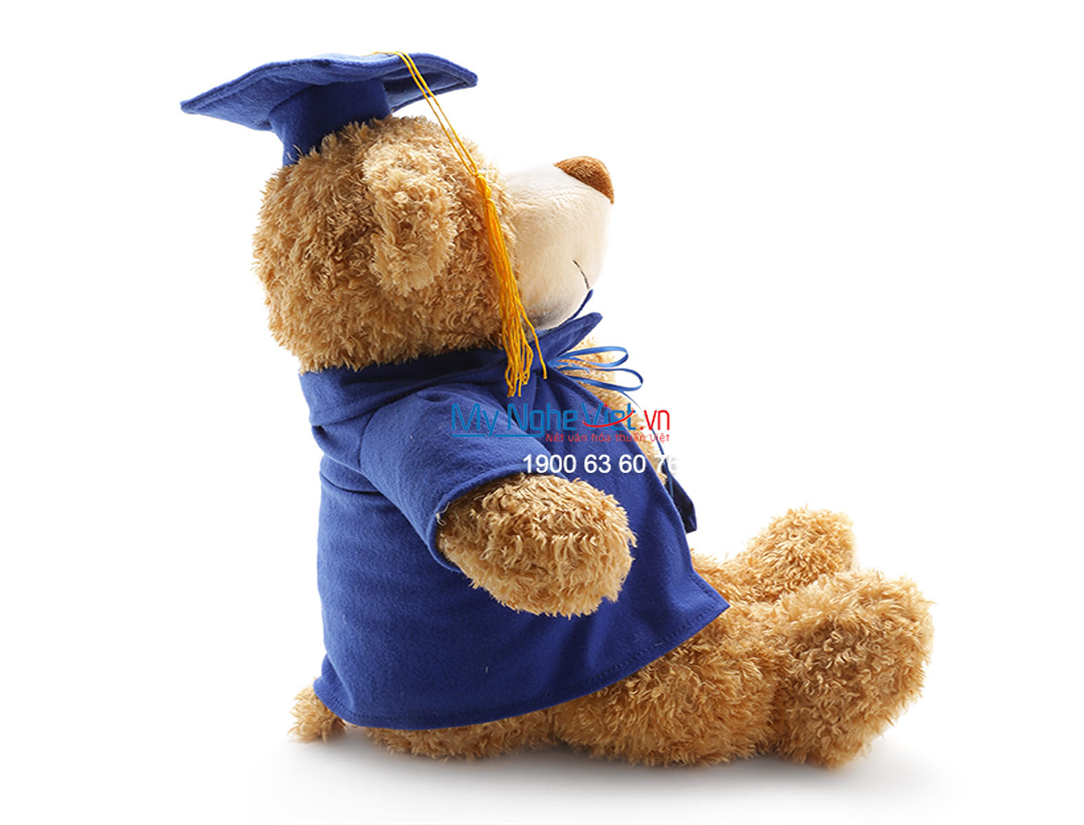 Gấu tốt nghiệp nâu QTN-GBL01