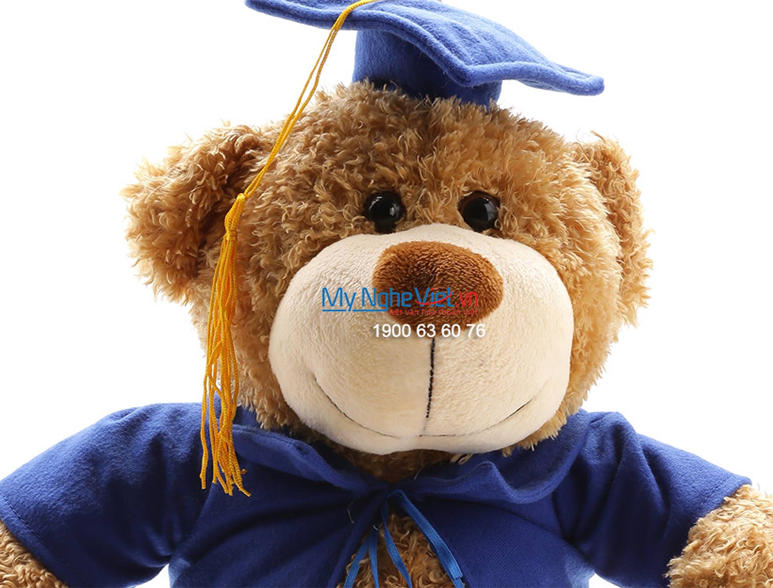 Gấu tốt nghiệp nâu QTN-GBL01