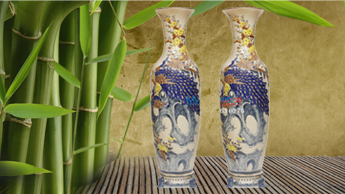 Men rạn nổi